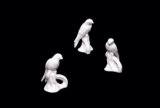 Passarinhos